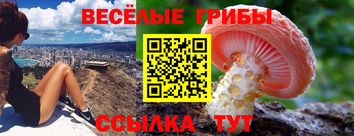 Галлюциногенные грибы мицелий  Вход с VPN  Воркута 