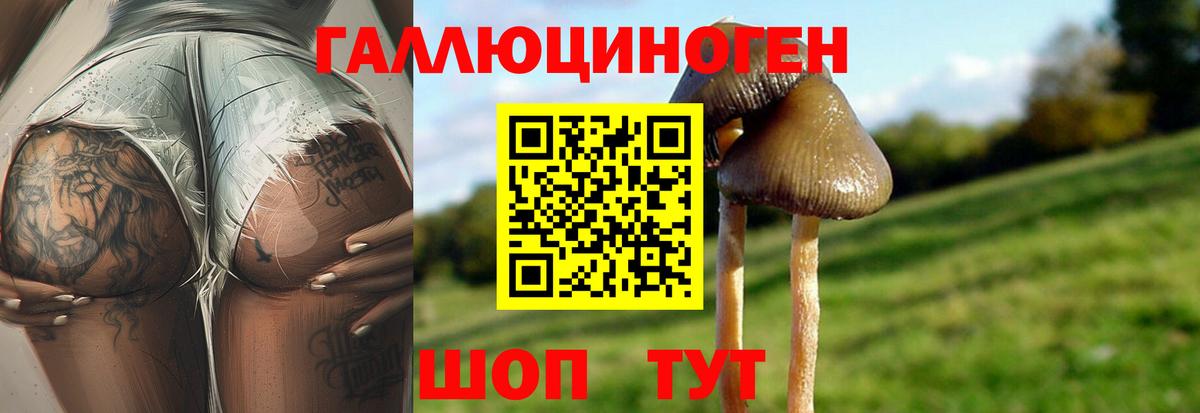 Галлюциногенные грибы ЛСД Воркута